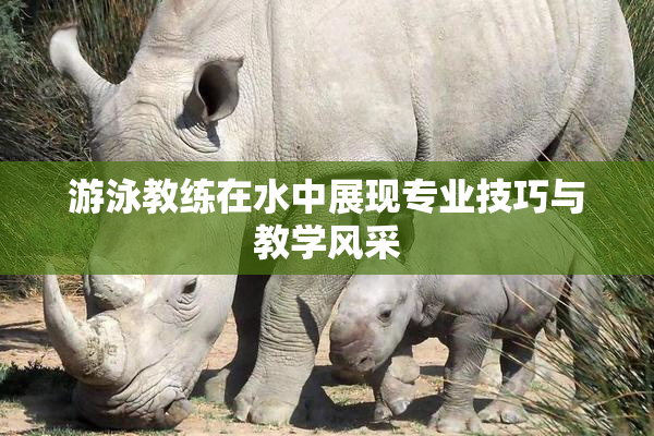 游泳教练在水中展现专业技巧与教学风采