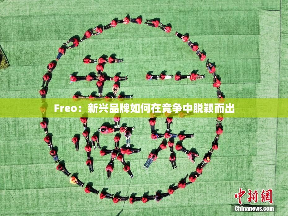 Freo：新兴品牌如何在竞争中脱颖而出