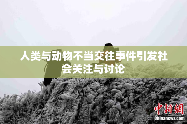 人类与动物不当交往事件引发社会关注与讨论