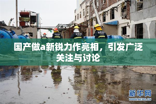 国产做a新锐力作亮相，引发广泛关注与讨论
