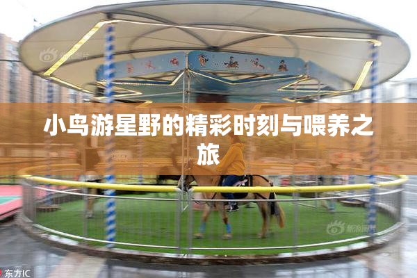 小鸟游星野的精彩时刻与喂养之旅
