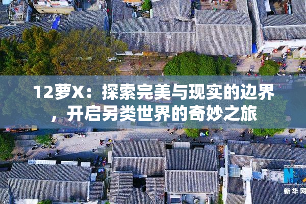 12萝X：探索完美与现实的边界，开启另类世界的奇妙之旅