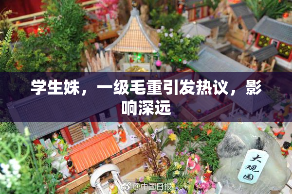 学生姝，一级毛重引发热议，影响深远