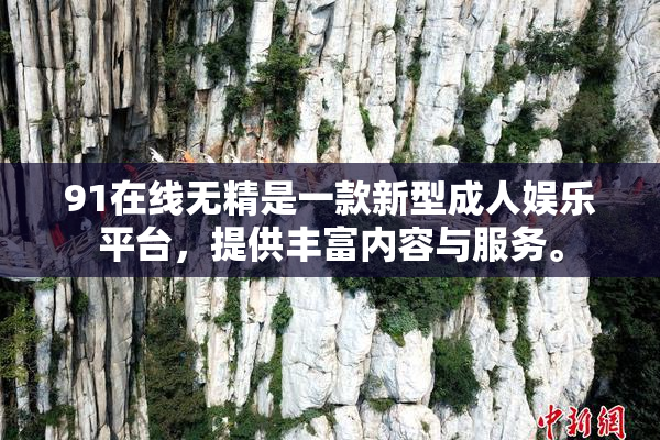 91在线无精是一款新型成人娱乐平台，提供丰富内容与服务。