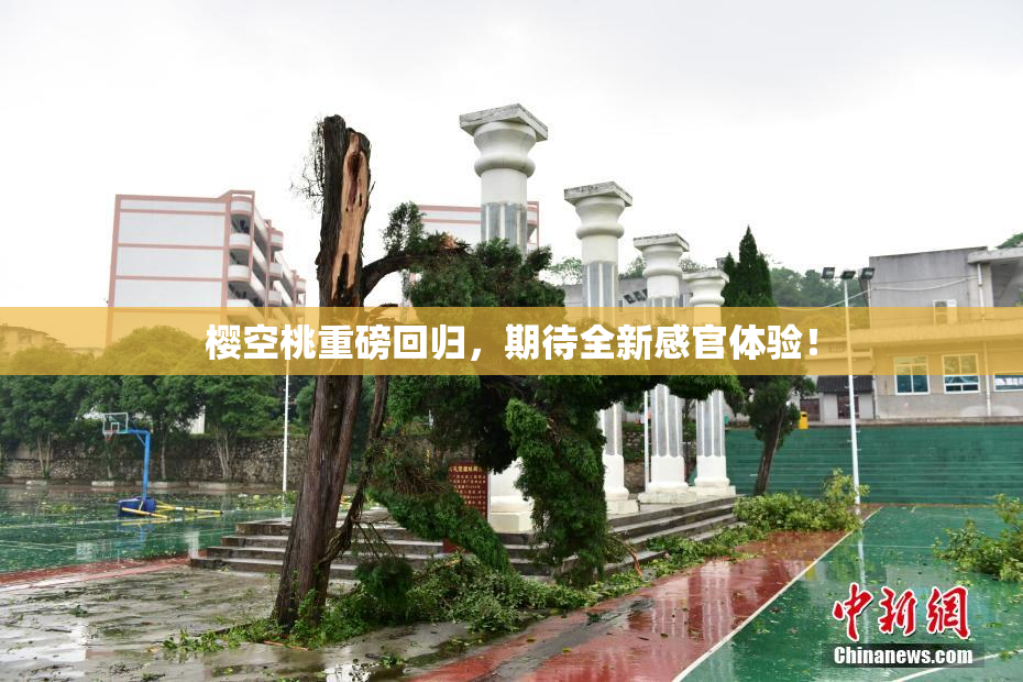 樱空桃重磅回归，期待全新感官体验！