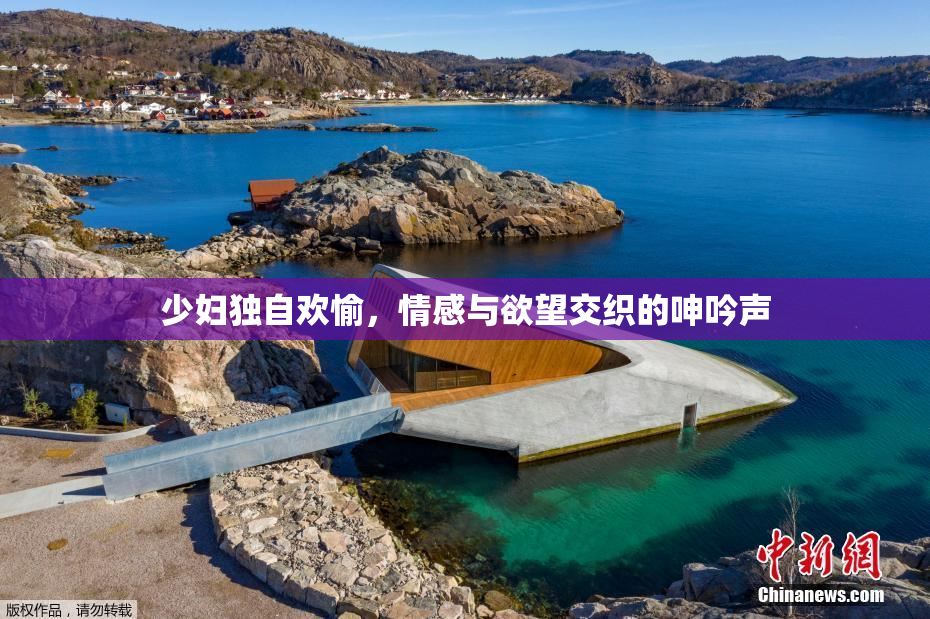 少妇独自欢愉，情感与欲望交织的呻吟声