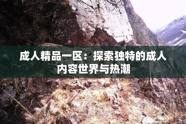 成人精品一区：探索独特的成人内容世界与热潮