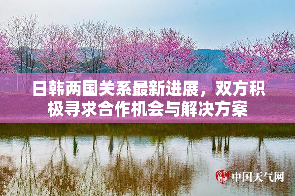 日韩两国关系最新进展，双方积极寻求合作机会与解决方案