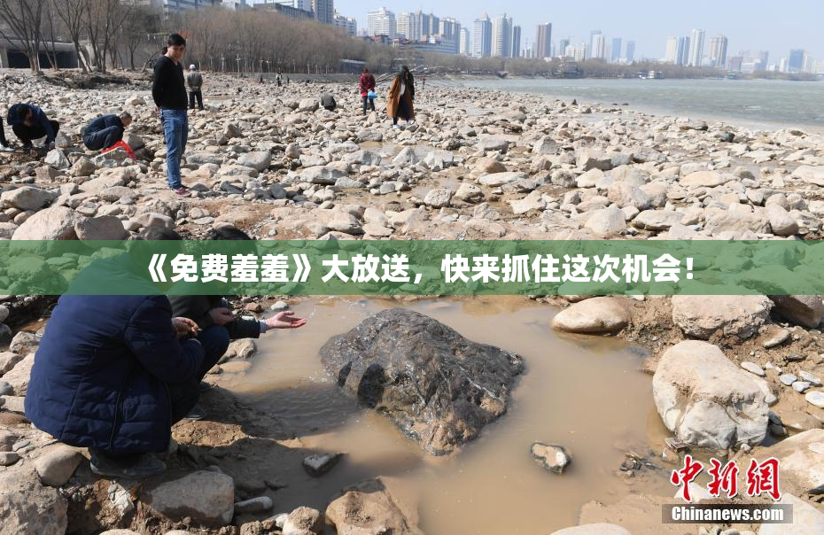《免费羞羞》大放送，快来抓住这次机会！