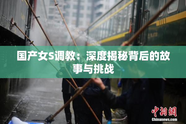 国产女S调教：深度揭秘背后的故事与挑战