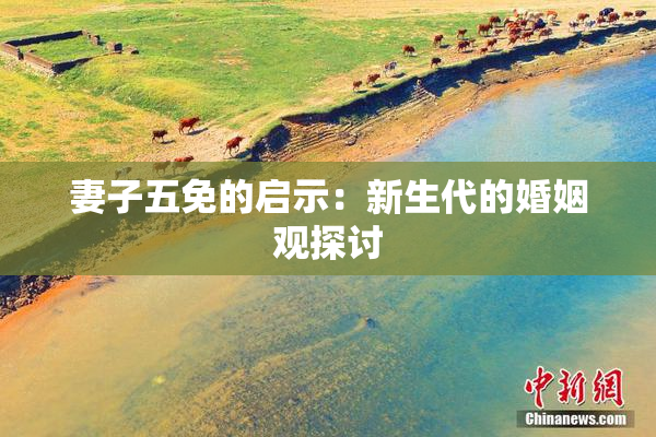 妻子五免的启示：新生代的婚姻观探讨