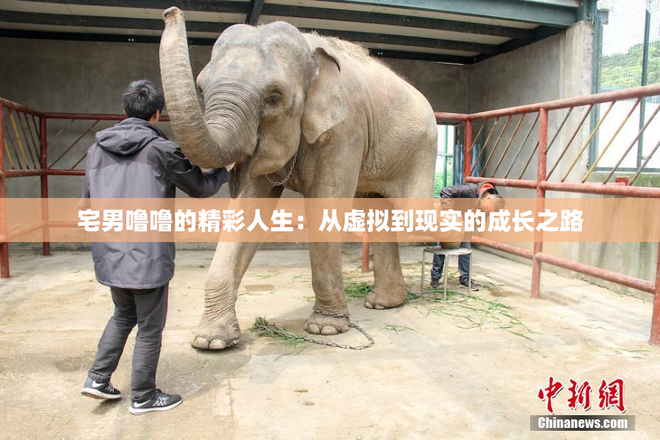 宅男噜噜的精彩人生：从虚拟到现实的成长之路