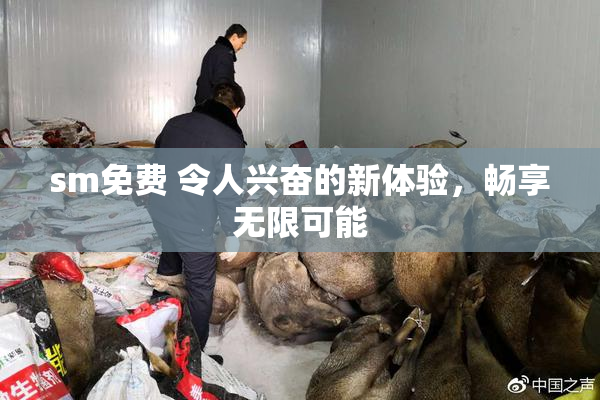sm免费 令人兴奋的新体验，畅享无限可能