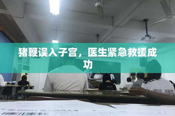 猪鞭误入子宫，医生紧急救援成功