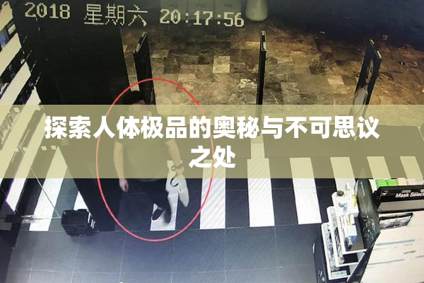 探索人体极品的奥秘与不可思议之处