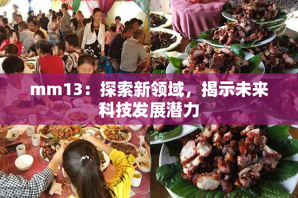 mm13：探索新领域，揭示未来科技发展潜力
