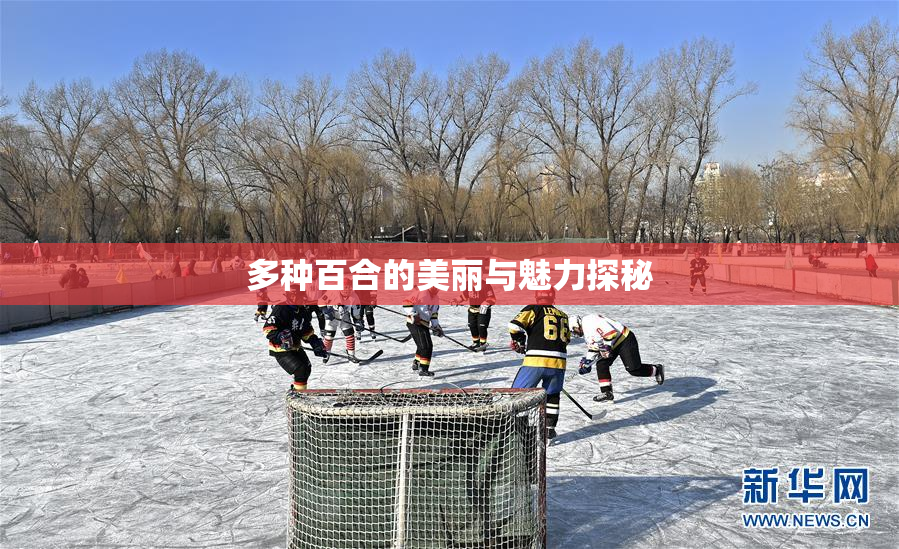 多种百合的美丽与魅力探秘
