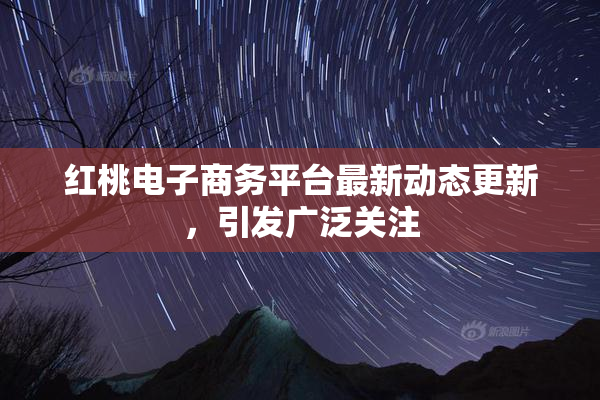 红桃电子商务平台最新动态更新，引发广泛关注