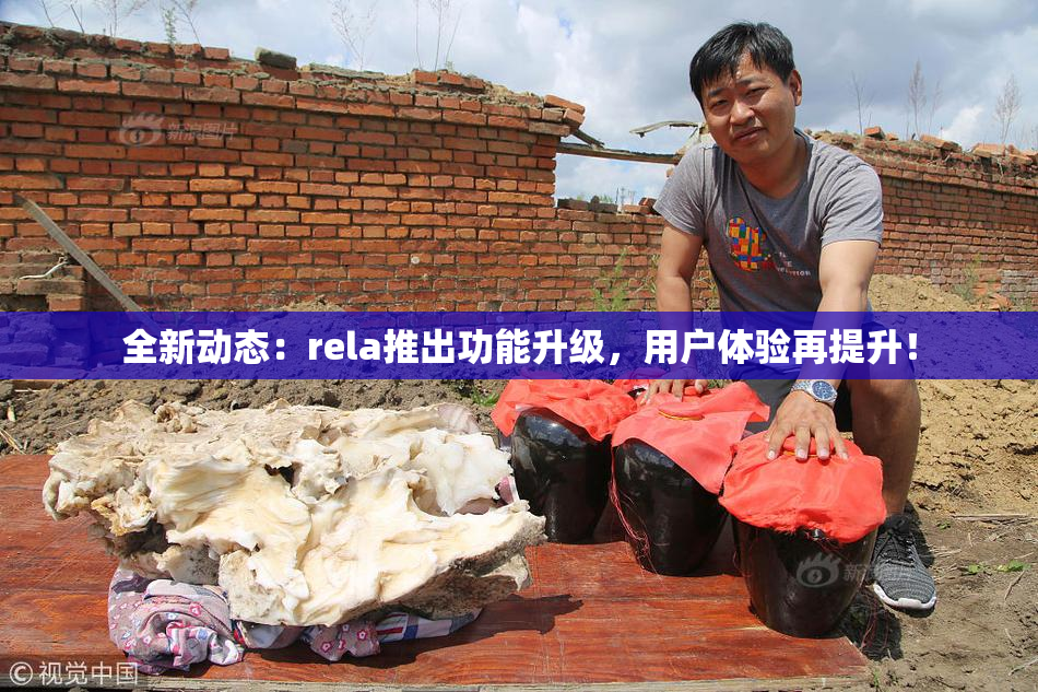 全新动态：rela推出功能升级，用户体验再提升！