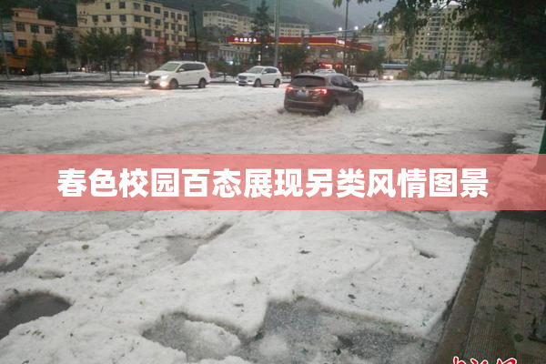 春色校园百态展现另类风情图景