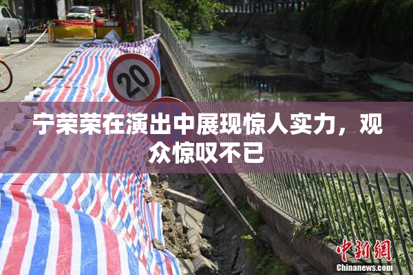 宁荣荣在演出中展现惊人实力，观众惊叹不已