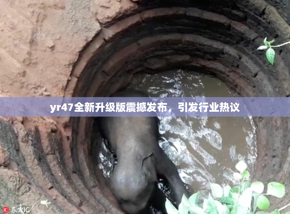 yr47全新升级版震撼发布，引发行业热议