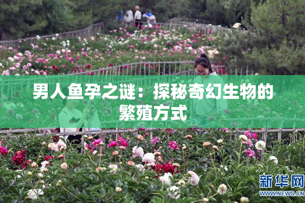 男人鱼孕之谜：探秘奇幻生物的繁殖方式