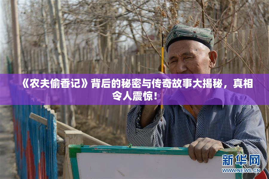 《农夫偷香记》背后的秘密与传奇故事大揭秘，真相令人震惊！