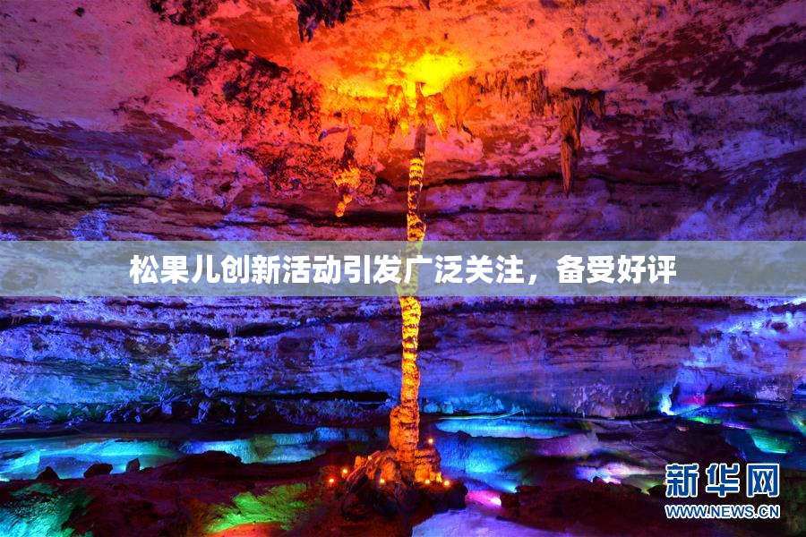 松果儿创新活动引发广泛关注，备受好评