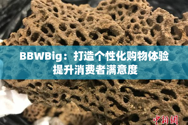 BBWBig：打造个性化购物体验 提升消费者满意度