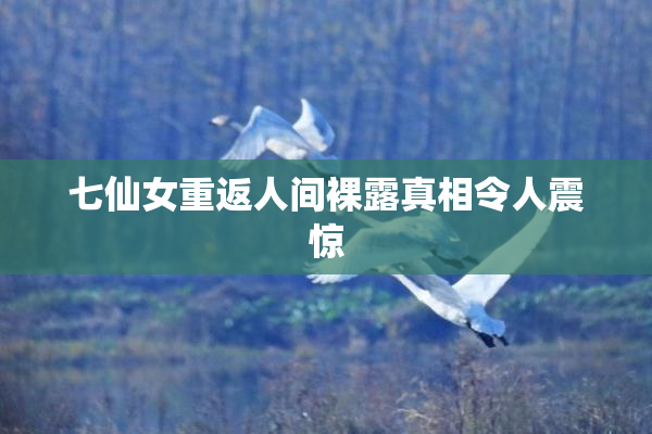 七仙女重返人间裸露真相令人震惊