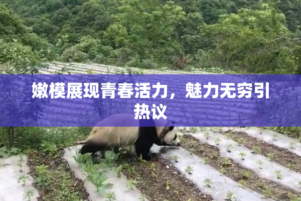 嫩模展现青春活力，魅力无穷引热议