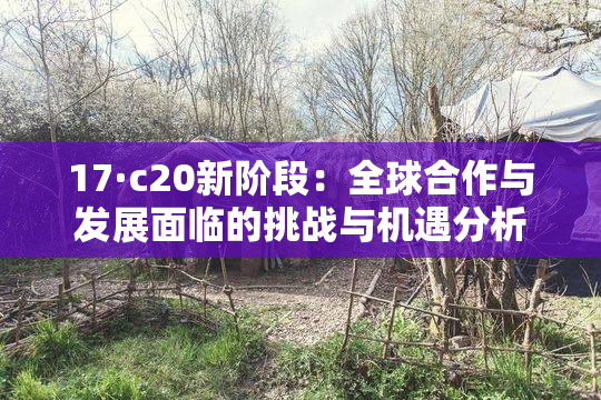 17·c20新阶段：全球合作与发展面临的挑战与机遇分析