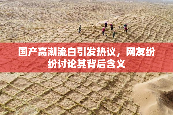 国产高潮流白引发热议，网友纷纷讨论其背后含义