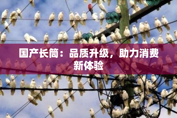 国产长筒：品质升级，助力消费新体验