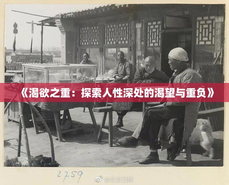 《渴欲之重：探索人性深处的渴望与重负》