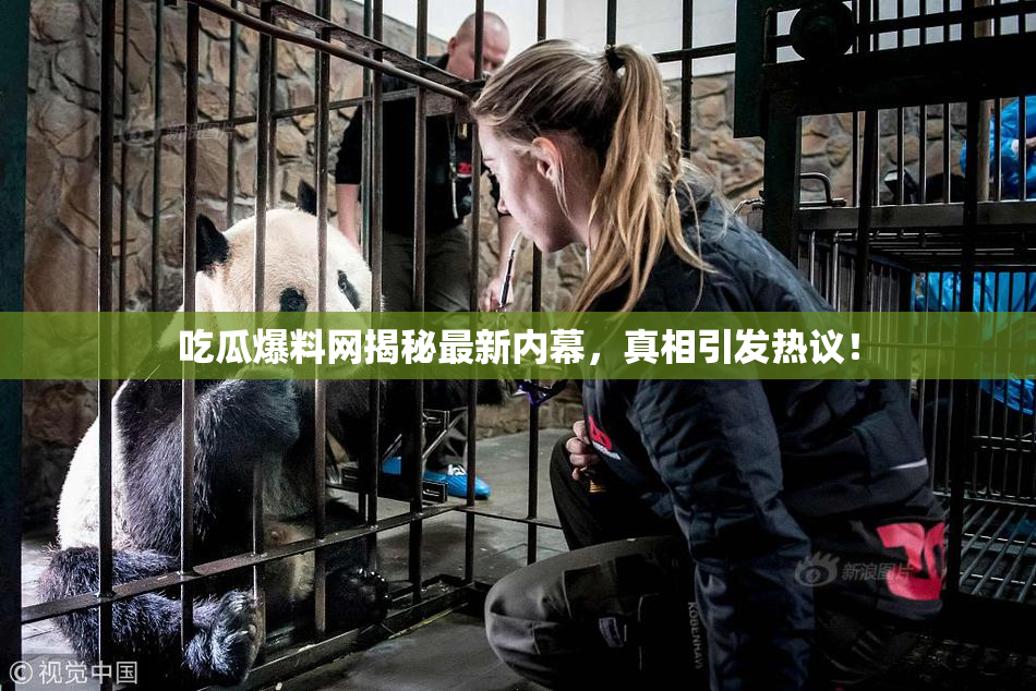 吃瓜爆料网揭秘最新内幕，真相引发热议！