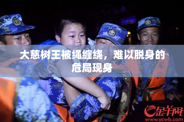 大慈树王被绳缠绕，难以脱身的危局现身