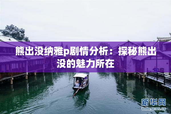 熊出没纳雅p剧情分析：探秘熊出没的魅力所在