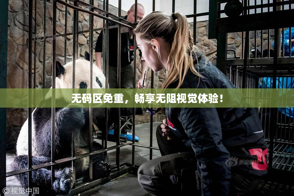 无码区免重，畅享无阻视觉体验！