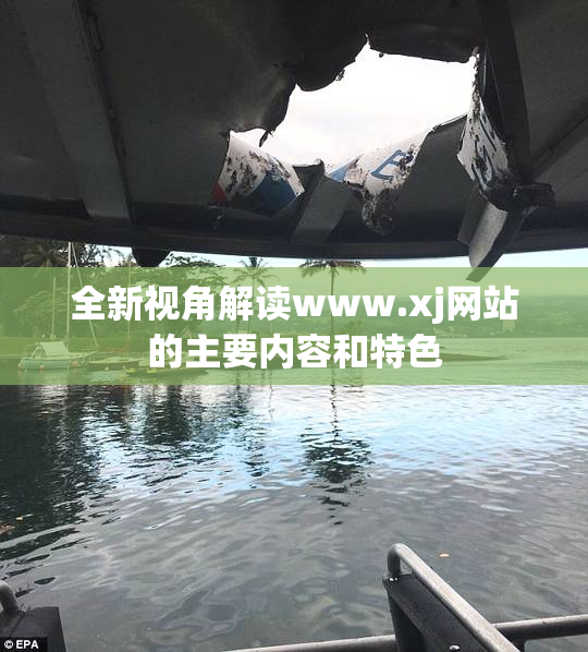 全新视角解读www.xj网站的主要内容和特色