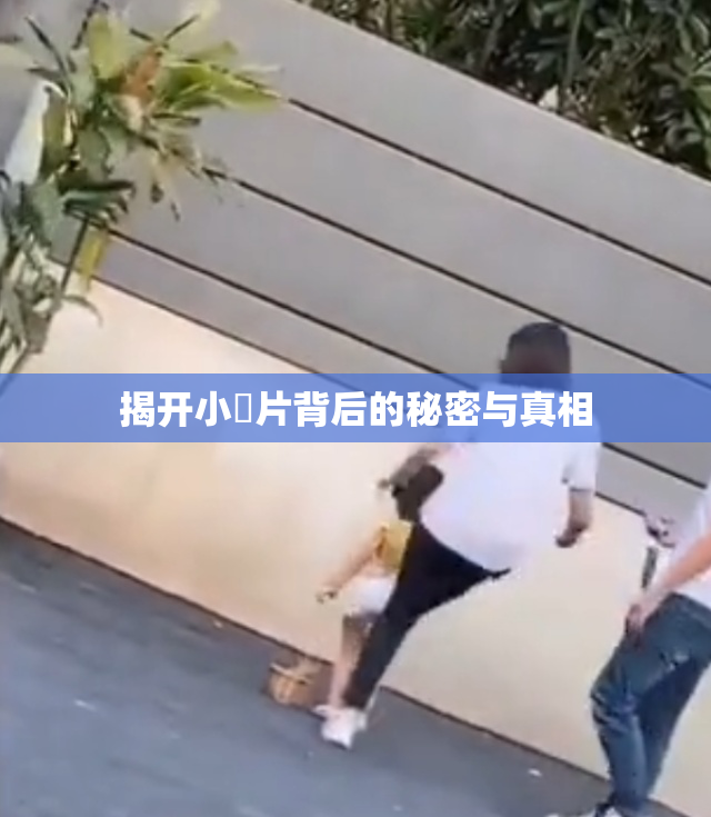 揭开小黃片背后的秘密与真相