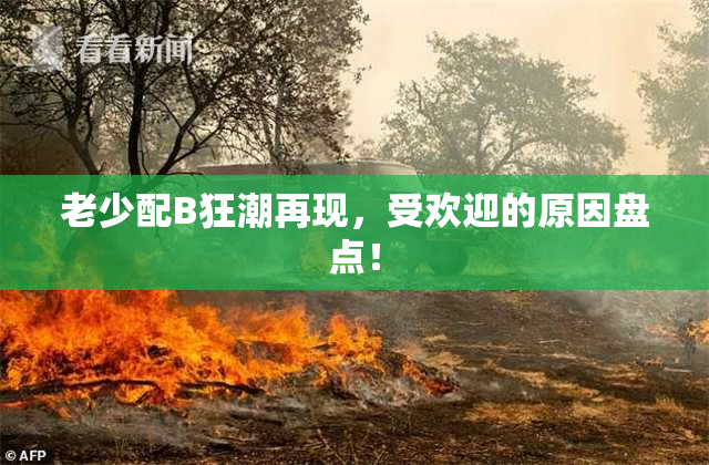 老少配B狂潮再现，受欢迎的原因盘点！
