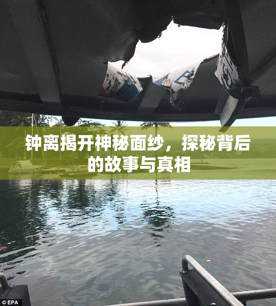 钟离揭开神秘面纱，探秘背后的故事与真相