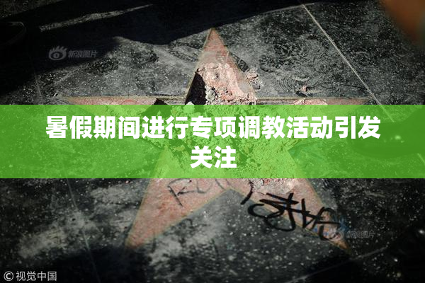 暑假期间进行专项调教活动引发关注