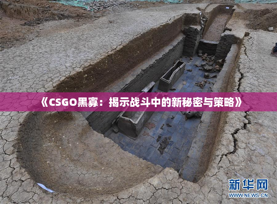 《CSGO黑寡：揭示战斗中的新秘密与策略》