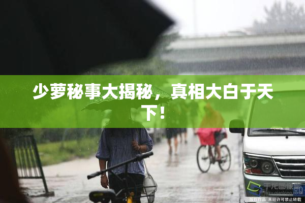 少萝秘事大揭秘，真相大白于天下！