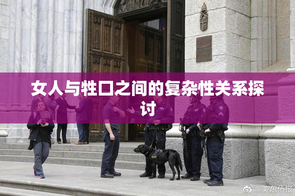 女人与牲囗之间的复杂性关系探讨