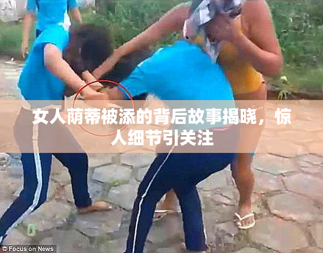 女人荫蒂被添的背后故事揭晓，惊人细节引关注