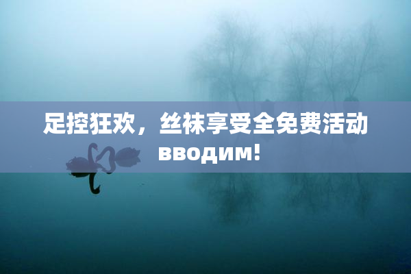 足控狂欢，丝袜享受全免费活动 вводим!